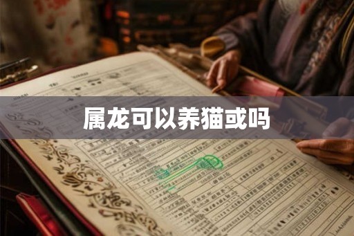 属龙可以养猫或吗