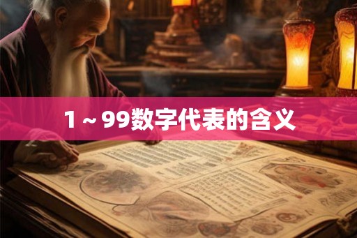 1~99数字代表的含义 1~99数字代表的含义