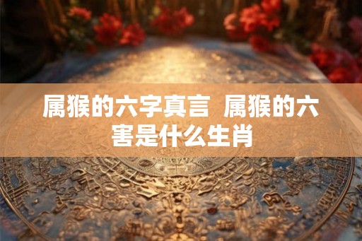 属猴的六字真言  属猴的六害是什么生肖