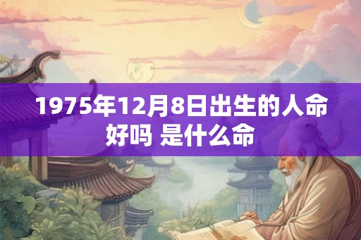1975年12月8日出生的人命好吗 是什么命