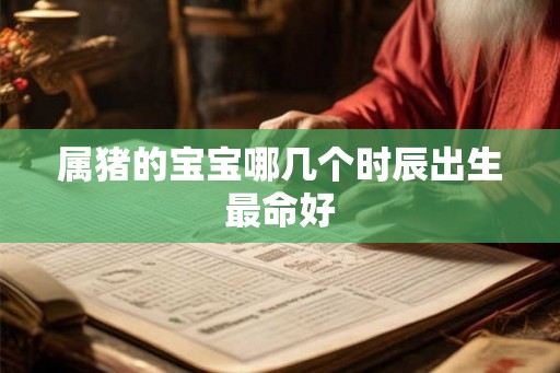 属猪的宝宝哪几个时辰出生最命好