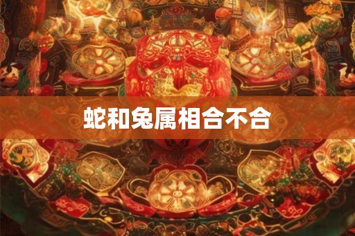 蛇和兔属相合不合