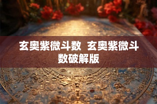 玄奥紫微斗数  玄奥紫微斗数破解版