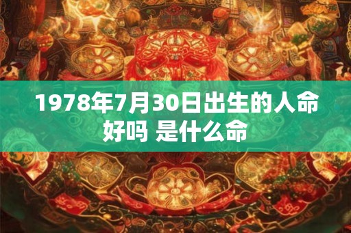 1978年7月30日出生的人命好吗 是什么命