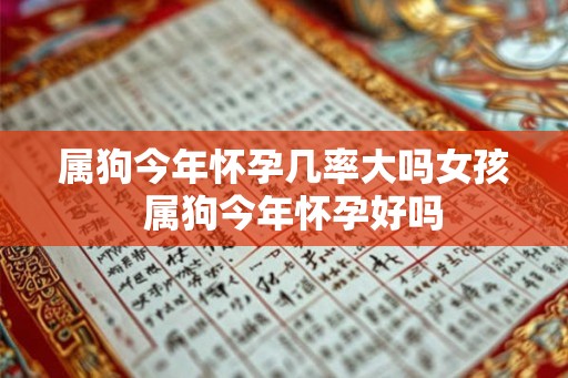 属狗今年怀孕几率大吗女孩  属狗今年怀孕好吗