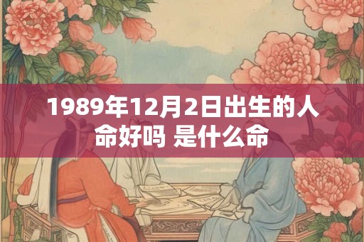 1989年12月2日出生的人命好吗 是什么命