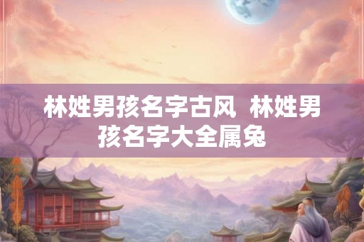 林姓男孩名字古风  林姓男孩名字大全属兔