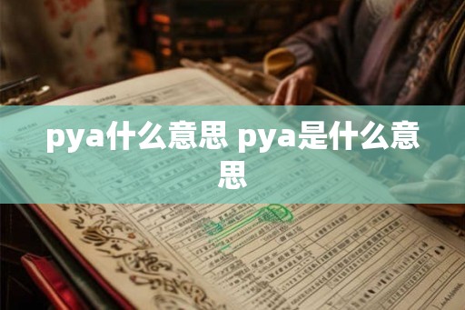 pya什么意思 pya是什么意思 pya什么意思 pya是什么意思