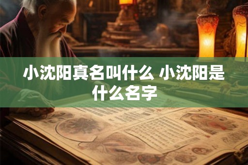 小沈阳真名叫什么 小沈阳是什么名字
