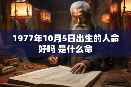 1977年10月5日出生的人命好吗 是什么命 1977年10月5日出生的人命好吗 是什么命
