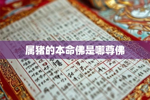 属猪的本命佛是哪尊佛