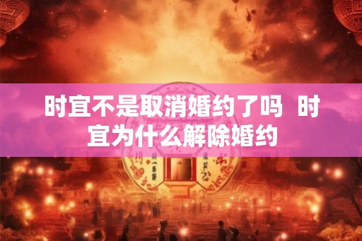 时宜不是取消婚约了吗  时宜为什么解除婚约