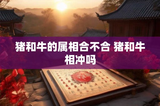 猪和牛的属相合不合 猪和牛相冲吗