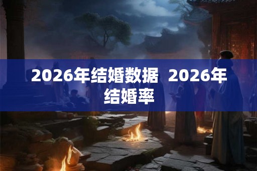2026年结婚数据  2026年结婚率