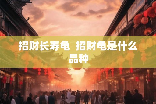 招财长寿龟  招财龟是什么品种