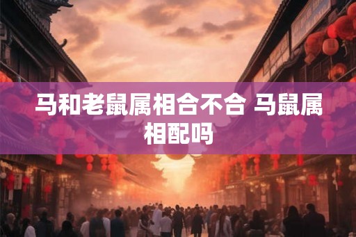 马和老鼠属相合不合 马鼠属相配吗