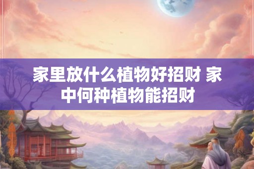 家里放什么植物好招财 家中何种植物能招财