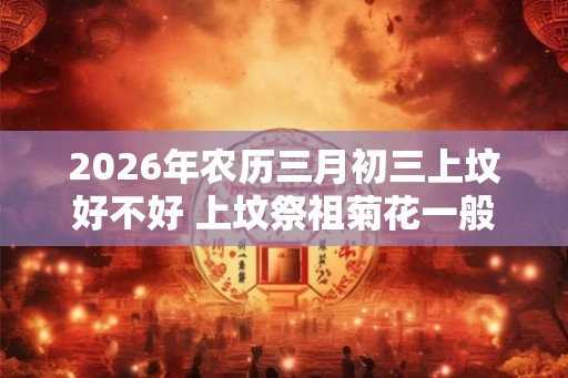 2026年农历三月初三上坟好不好 上坟祭祖菊花一般用几朵