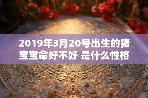 2019年3月20号出生的猪宝宝命好不好 是什么性格