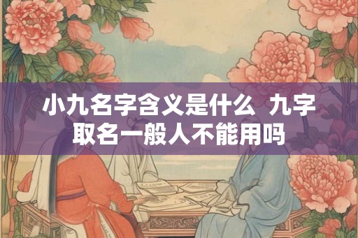 小九名字含义是什么  九字取名一般人不能用吗