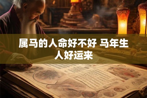 属马的人命好不好 马年生人好运来 属马的人命好不好 马年生人好运来