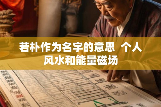 若朴作为名字的意思  个人风水和能量磁场