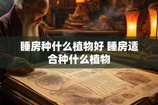 睡房种什么植物好 睡房适合种什么植物