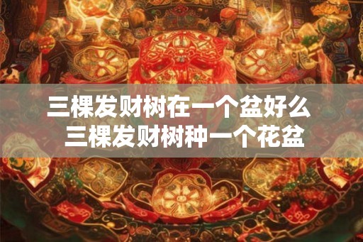 三棵发财树在一个盆好么  三棵发财树种一个花盆
