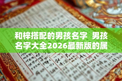 和梓搭配的男孩名字  男孩名字大全2026最新版的属兔