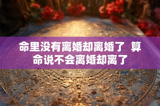 命里没有离婚却离婚了  算命说不会离婚却离了