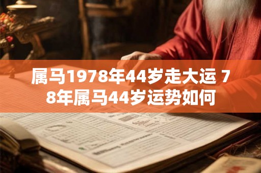 属马1978年44岁走大运 78年属马44岁运势如何