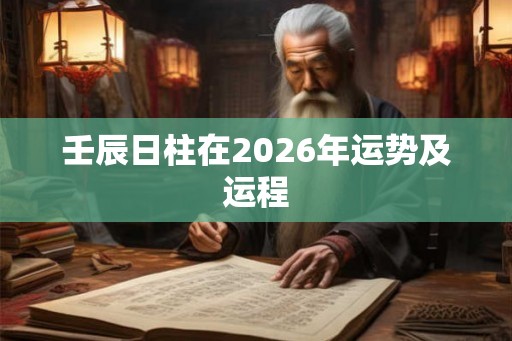 壬辰日柱在2026年运势及运程