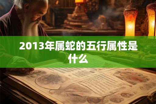 2013年属蛇的五行属性是什么