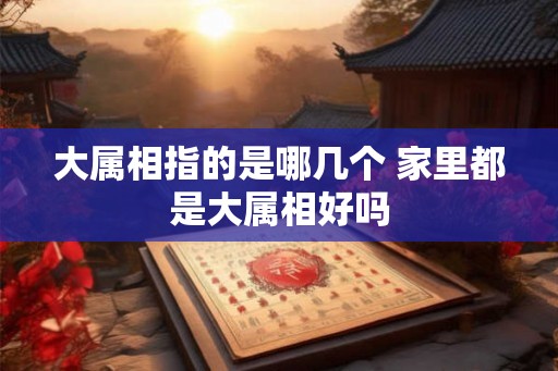 大属相指的是哪几个 家里都是大属相好吗 大属相指的是哪几个 家里都是大属相好吗