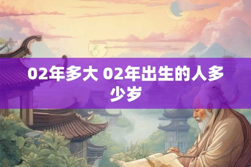 02年多大 02年出生的人多少岁