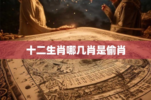 十二生肖哪几肖是偷肖