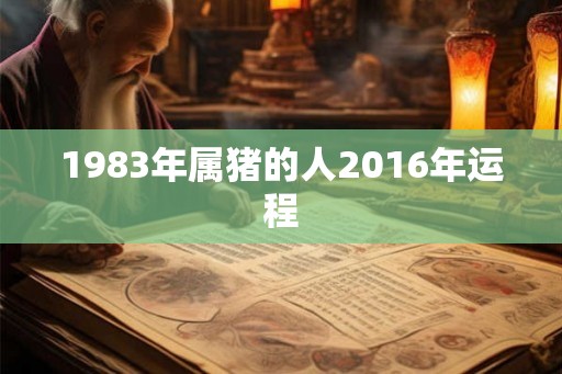 1983年属猪的人2016年运程