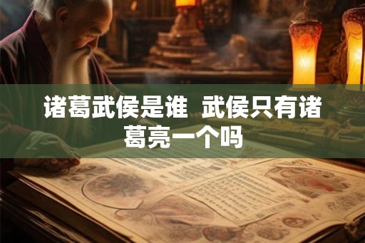 诸葛武侯是谁  武侯只有诸葛亮一个吗