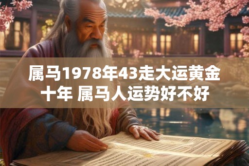 属马1978年43走大运黄金十年 属马人运势好不好 属马1978年43走大运黄金十年 属马人运势好不好