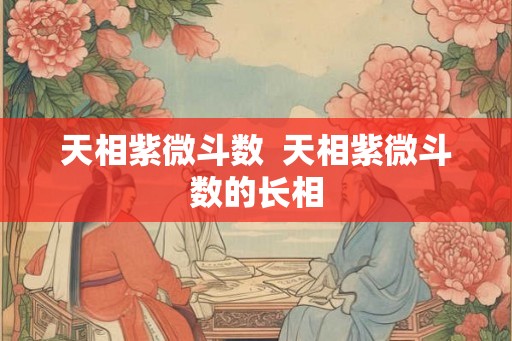 天相紫微斗数  天相紫微斗数的长相