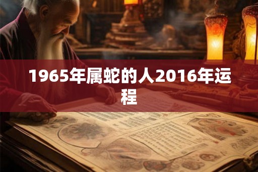 1965年属蛇的人2016年运程
