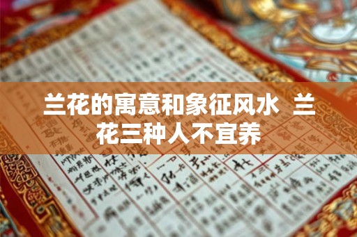 兰花的寓意和象征风水  兰花三种人不宜养