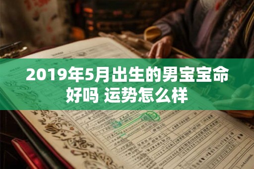 2019年5月出生的男宝宝命好吗 运势怎么样
