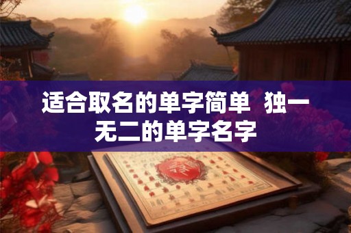适合取名的单字简单  独一无二的单字名字