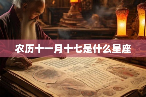 农历十一月十七是什么星座