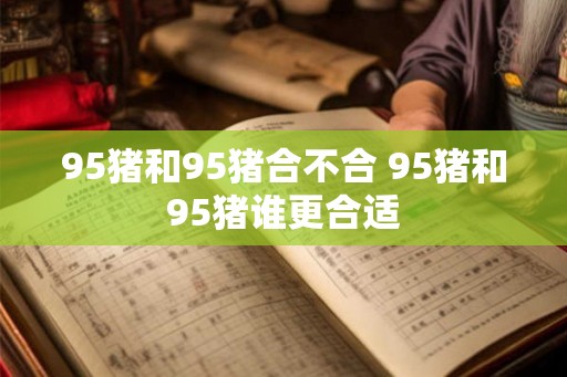 95猪和95猪合不合 95猪和95猪谁更合适
