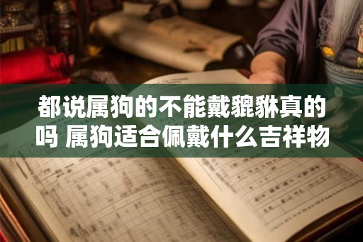 都说属狗的不能戴貔貅真的吗 属狗适合佩戴什么吉祥物