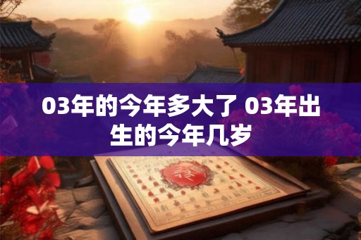 03年的今年多大了 03年出生的今年几岁
