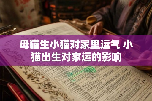 母猫生小猫对家里运气 小猫出生对家运的影响