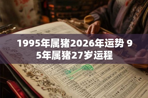1995年属猪2026年运势 95年属猪27岁运程